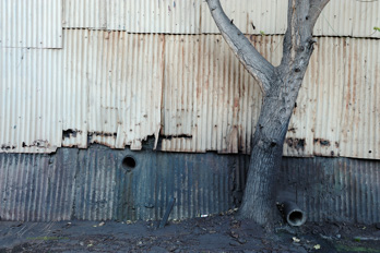Gallery Thumb 9